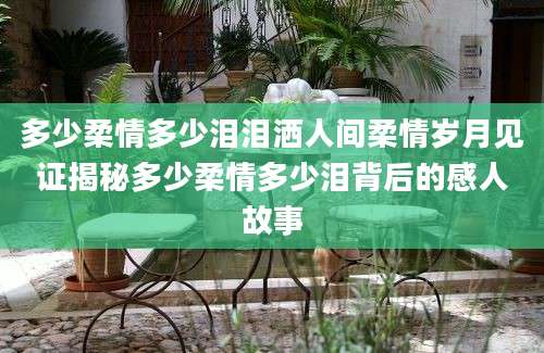 多少柔情多少泪泪洒人间柔情岁月见证揭秘多少柔情多少泪背后的感人故事