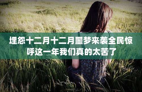 埋怨十二月十二月噩梦来袭全民惊呼这一年我们真的太苦了