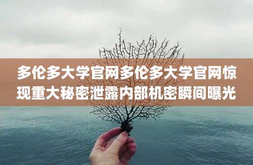 多伦多大学官网多伦多大学官网惊现重大秘密泄露内部机密瞬间曝光