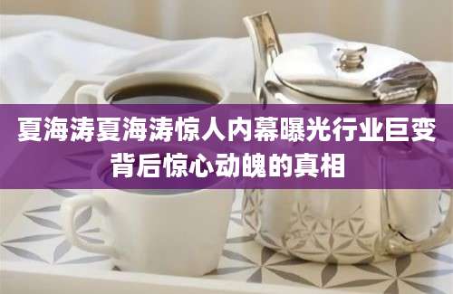 夏海涛夏海涛惊人内幕曝光行业巨变背后惊心动魄的真相