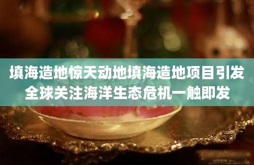 填海造地惊天动地填海造地项目引发全球关注海洋生态危机一触即发